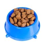 dog food bowl