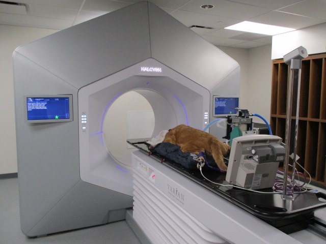 New Technology For Advanced Veterinary Care